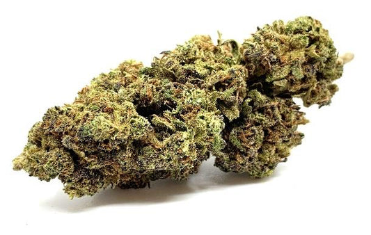 Banana Berry CBD Blüte 1kg Bulk